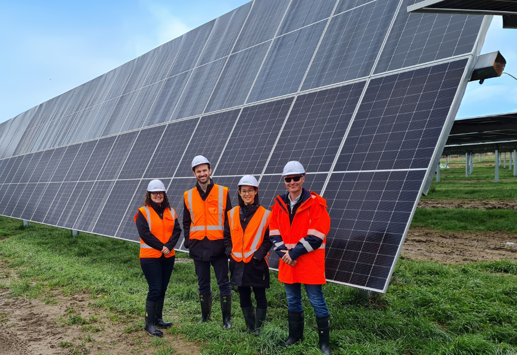 Inghams partner with Lodestone in a landmark solar generation agreement