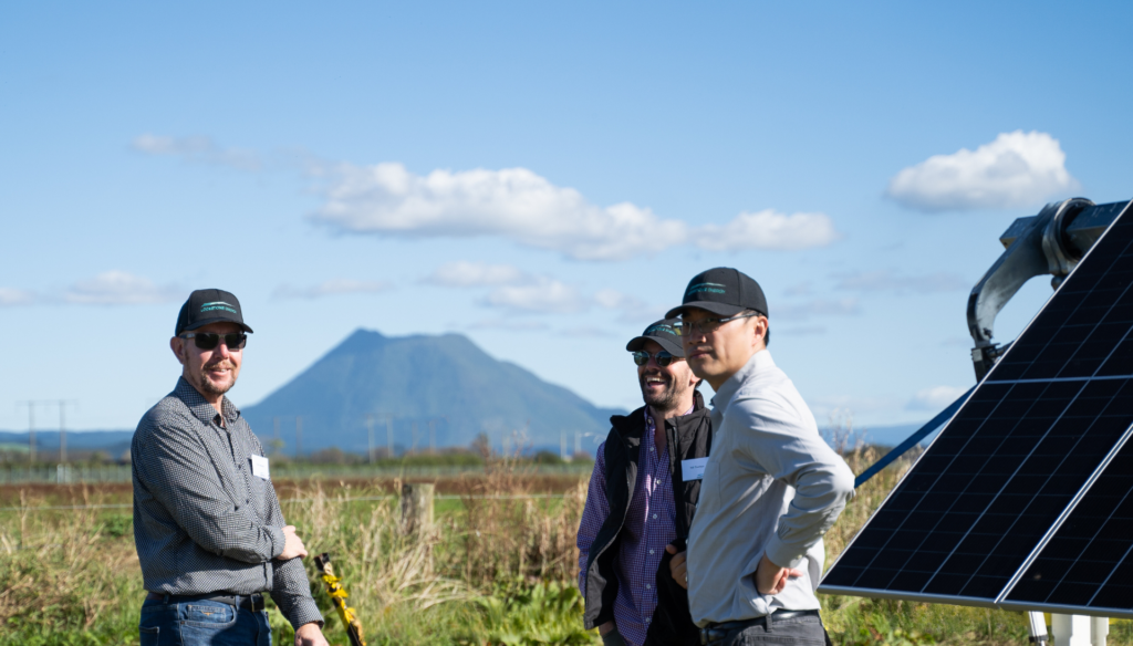 Lodestone team at Rangitaiki Solar Farm in Edgecumbe