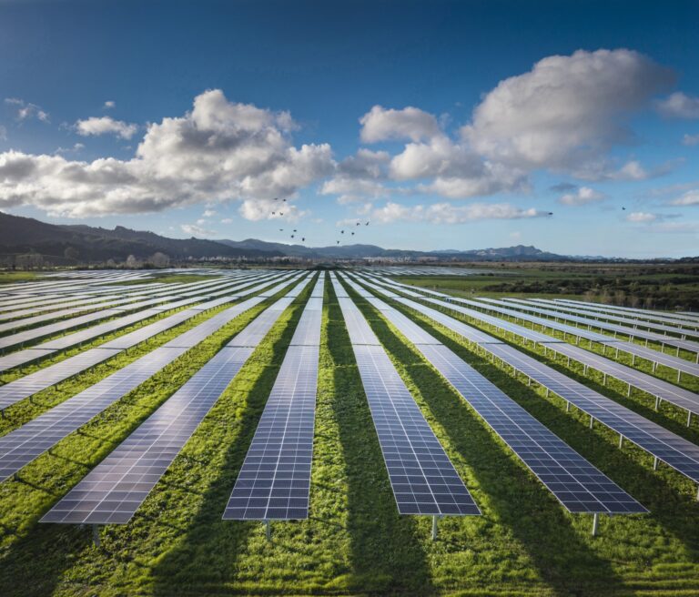 View of Whitianga Solar Farm solar arrays