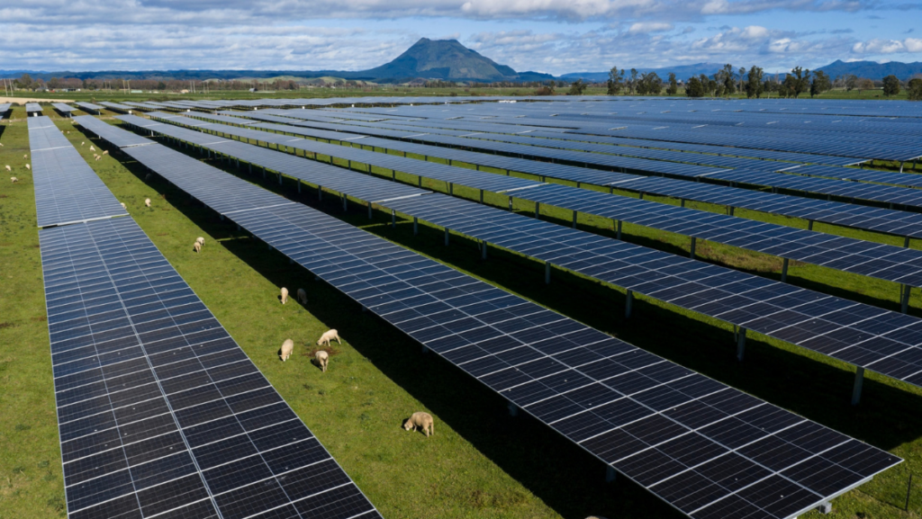 Lodestone Energy Solar Farm